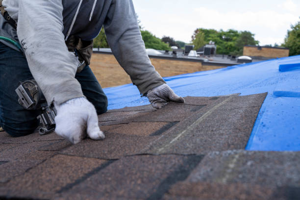 Best Roof Gutter Cleaning  in Williston, SC