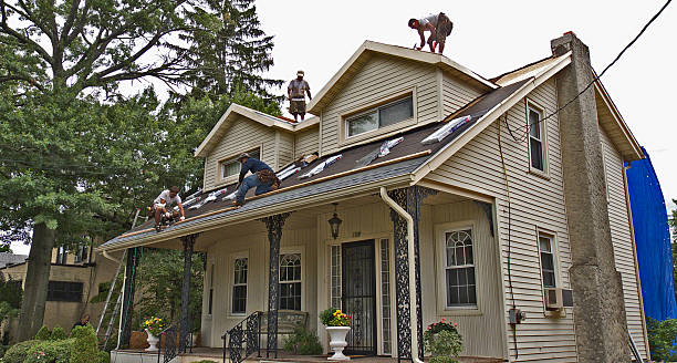 Best Roof Gutter Cleaning  in Williston, SC